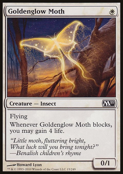 Goldenglow Moth